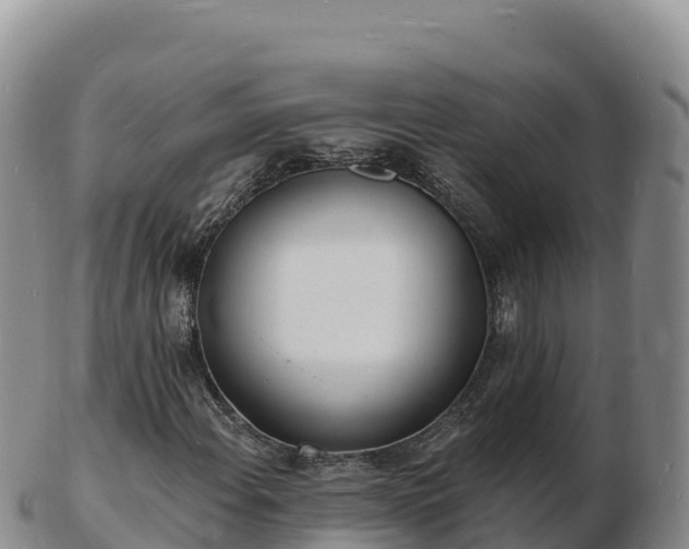 X0000103301108200809051516