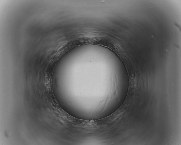 X0000103301109200809051516