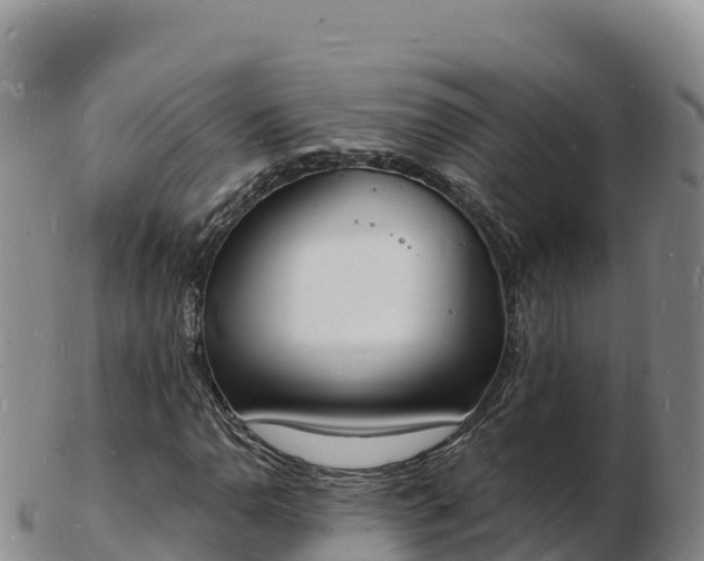 X0000103301110200809051516