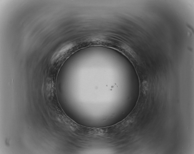 X0000103301111200809051516