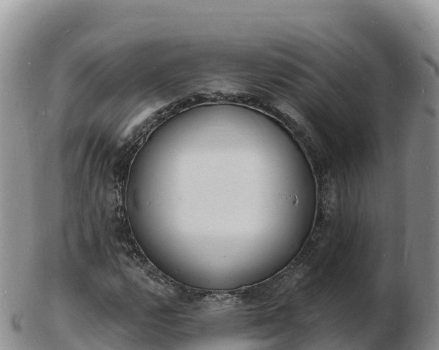 X0000103301112200809051516