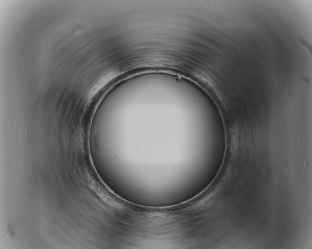 X0000103301114200809051516