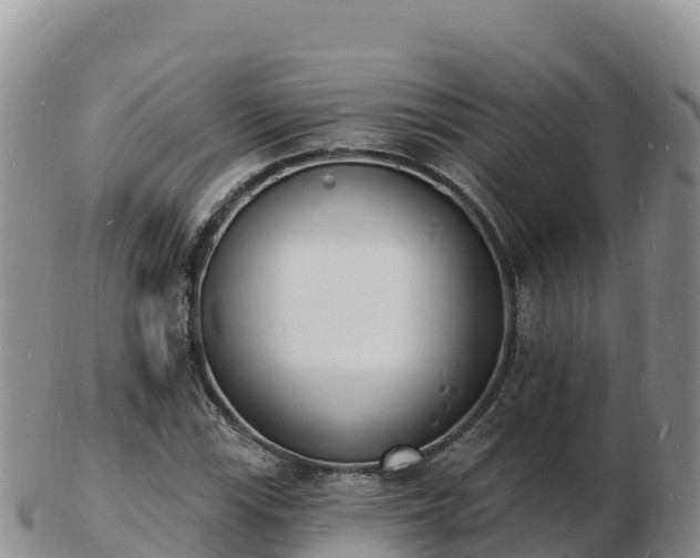 X0000103301115200809051516