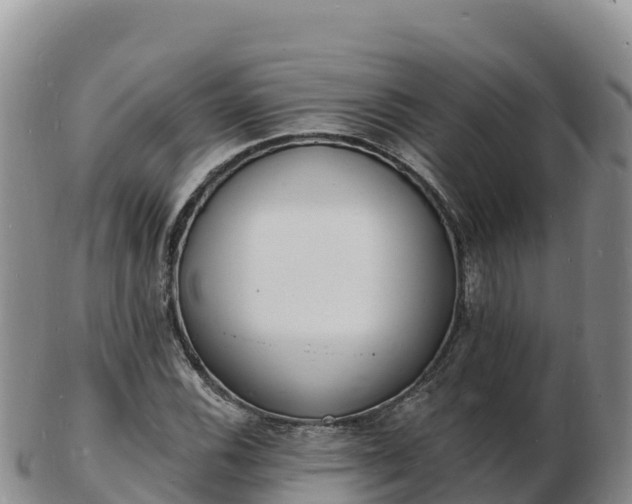 X0000103301116200809051516