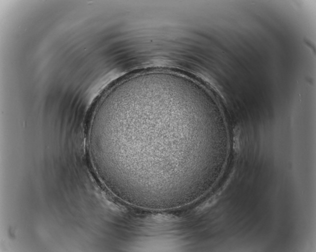 X0000103301117200809051516