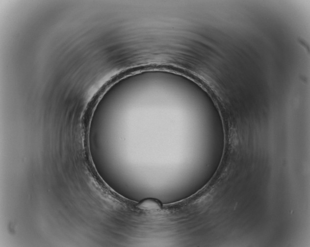 X0000103301118200809051516