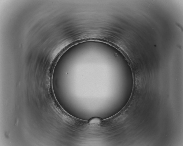 X0000103301119200809051516