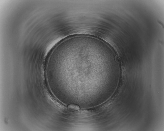 X0000103301120200809051516