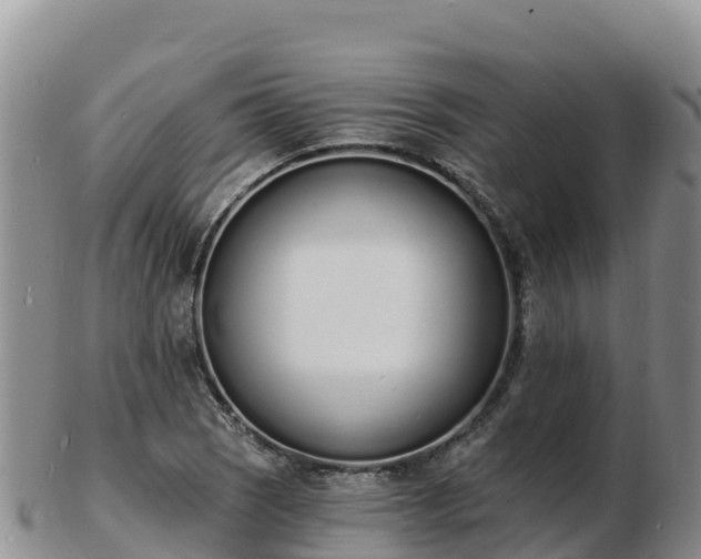 X0000103301121200809051516