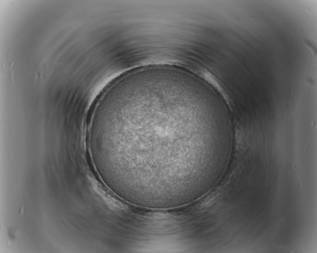 X0000103301124200809051516