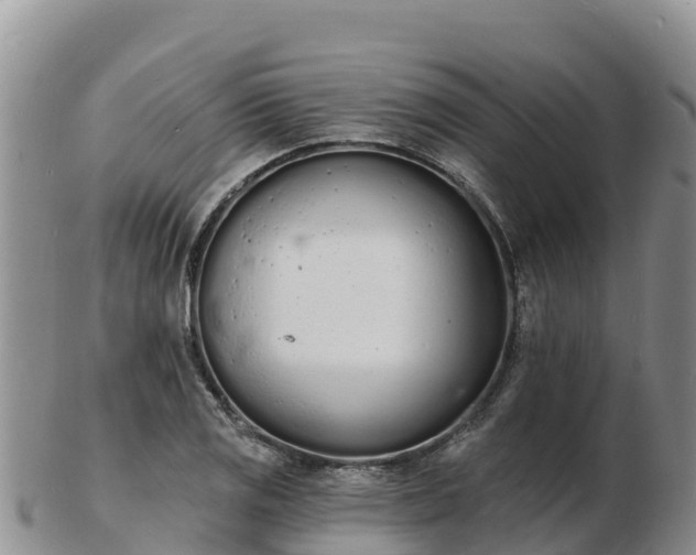 X0000103301125200809051516