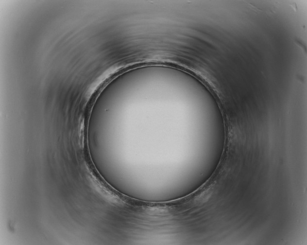 X0000103301126200809051516