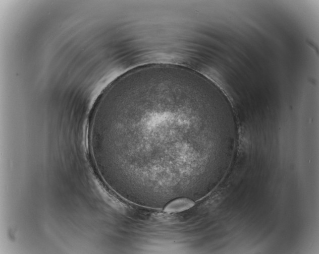 X0000103301128200809051516