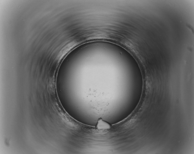 X0000103301129200809051516