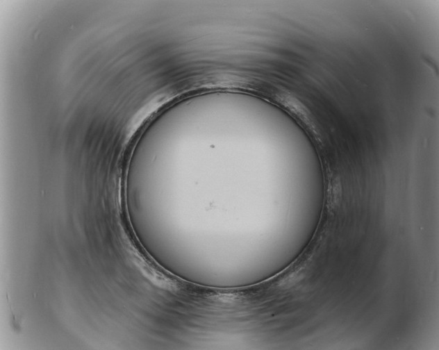 X0000103301130200809051516