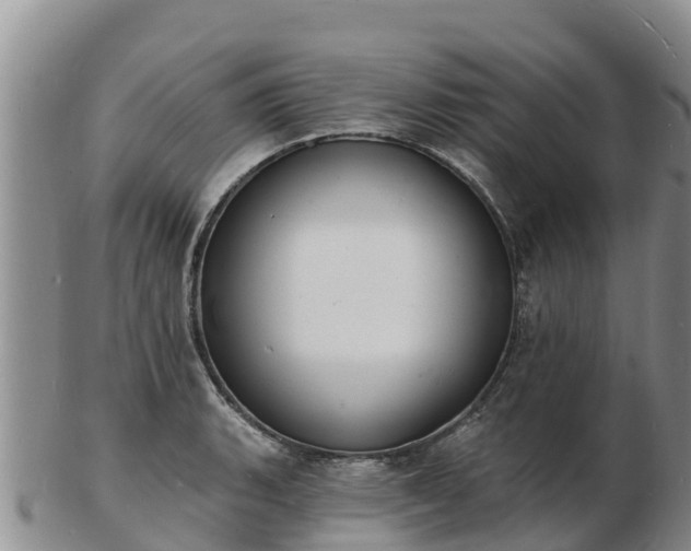 X0000103301135200809051517