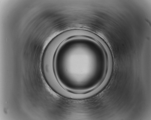 X0000103301136200809051517