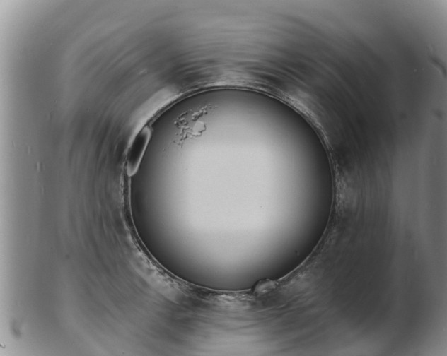 X0000103301138200809051517