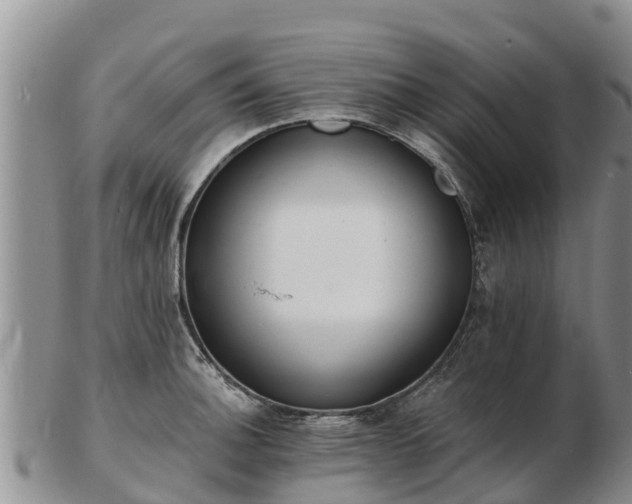 X0000103301140200809051517