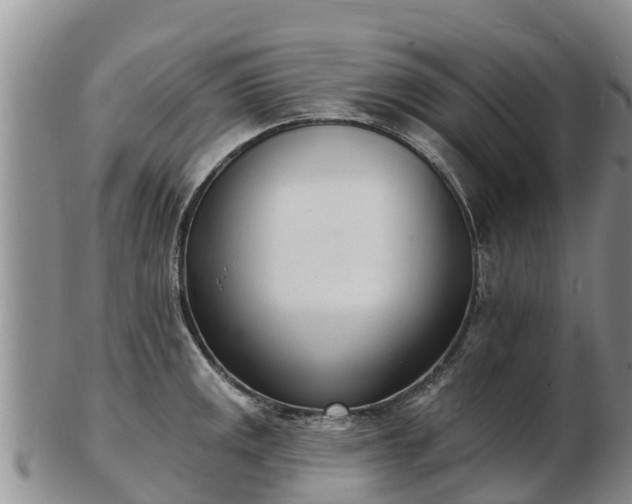 X0000103301141200809051517