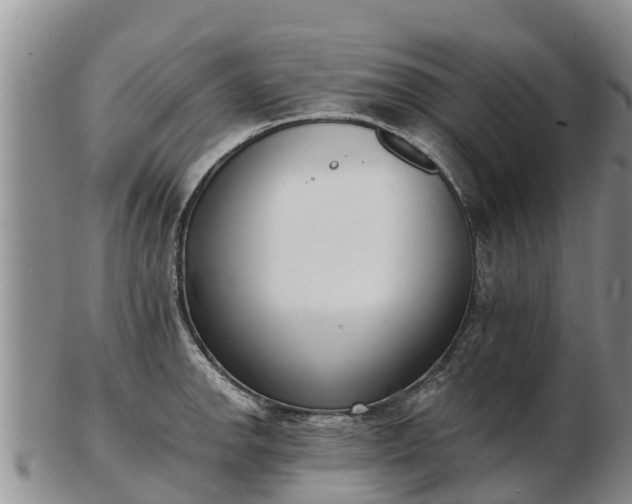 X0000103301142200809051517