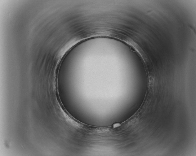 X0000103301143200809051517