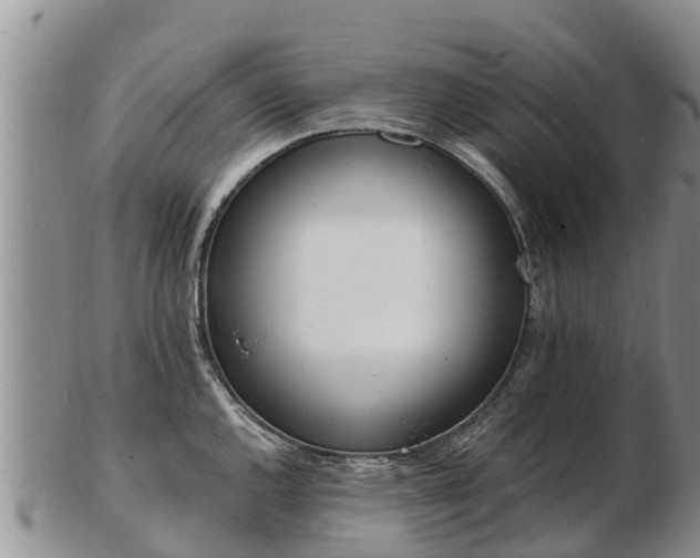 X0000103301144200809051517