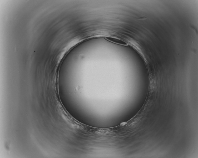 X0000103301146200809051517