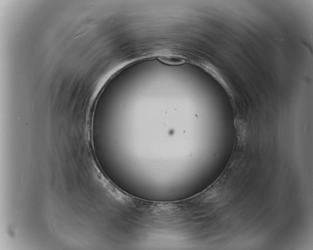 X0000103301148200809051517