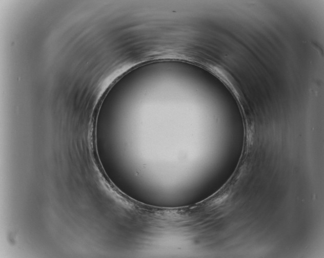 X0000103301149200809051517