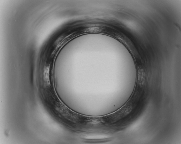 X0000103301150200809051517