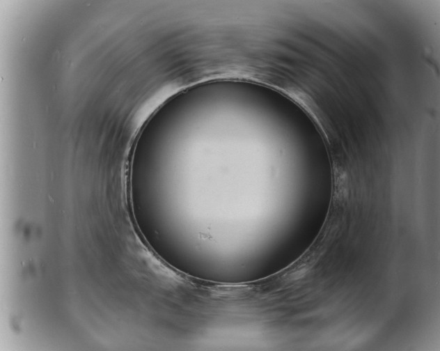 X0000103301151200809051517