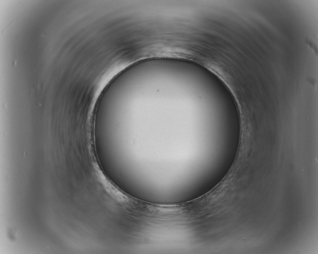 X0000103301152200809051517