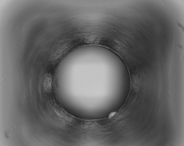 X0000103301154200809051516