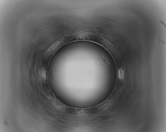 X0000103301155200809051516