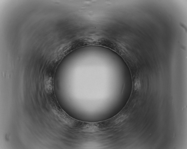 X0000103301156200809051516