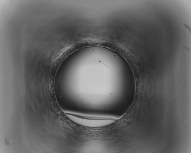 X0000103301157200809051516