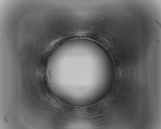 X0000103301158200809051516