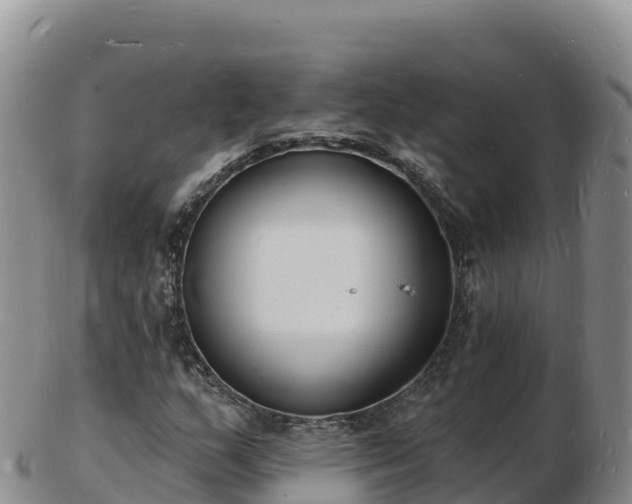 X0000103301159200809051516