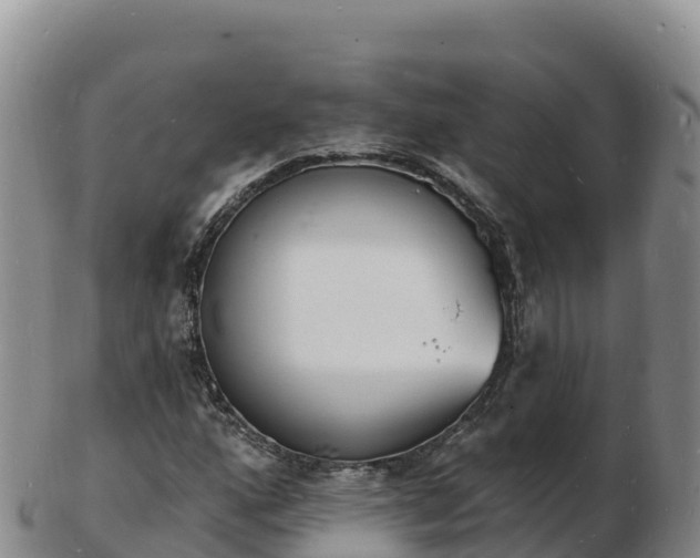 X0000103301160200809051516