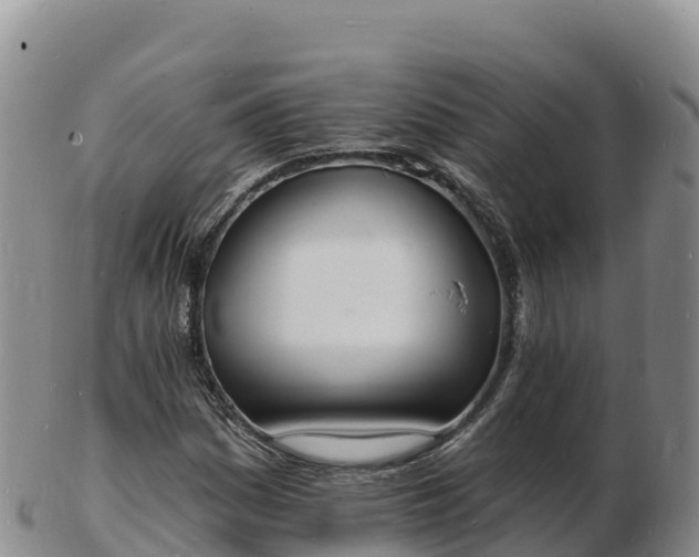 X0000103301161200809051516