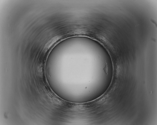 X0000103301162200809051516