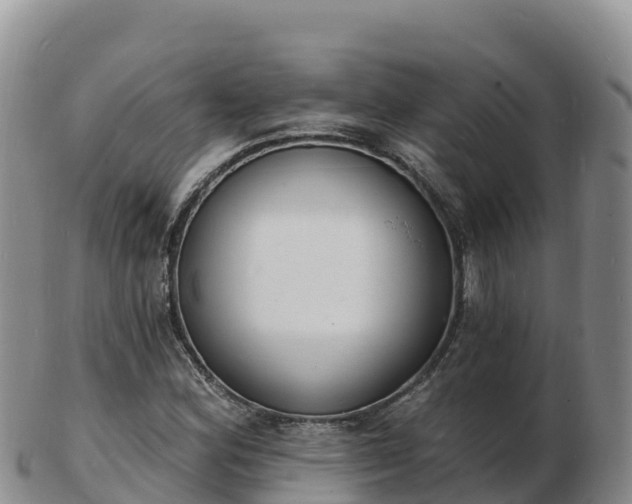 X0000103301164200809051516