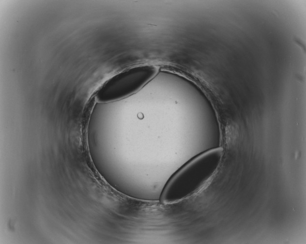 X0000103301165200809051516