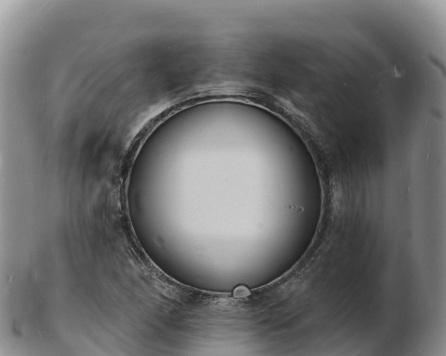 X0000103301166200809051516