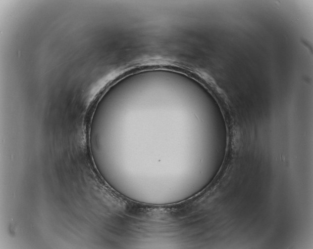 X0000103301167200809051516