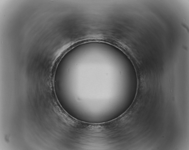 X0000103301168200809051516