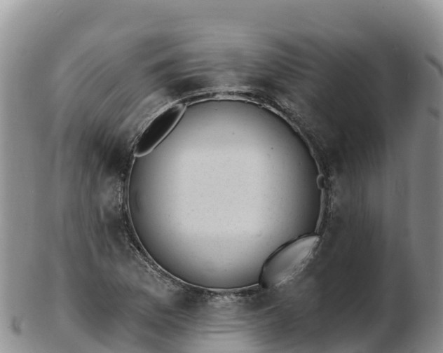 X0000103301169200809051516