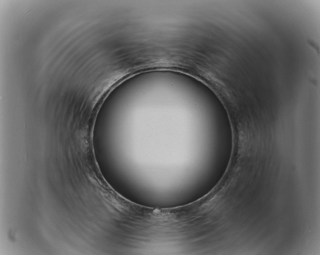 X0000103301170200809051516