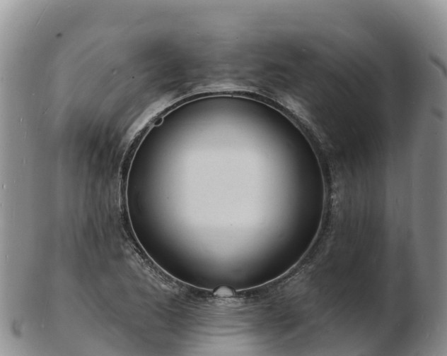 X0000103301173200809051516